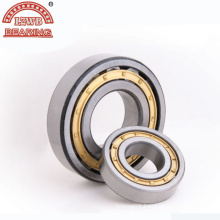 Professional Manufacturing Cylinder Roller Bearing (nu310)